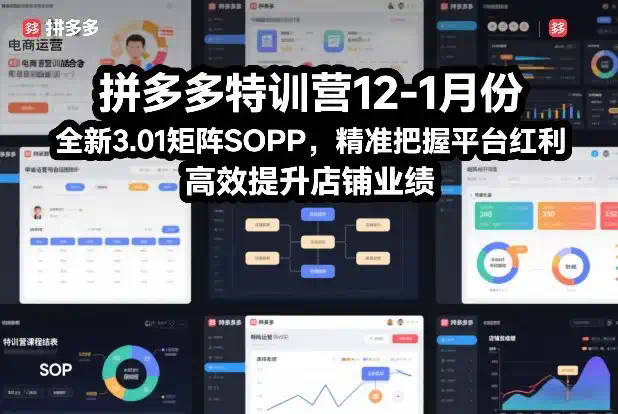 拼多多特训营12-1月份，全新3.01矩阵Sop，精准把握平台红利，高效提升店铺业绩
