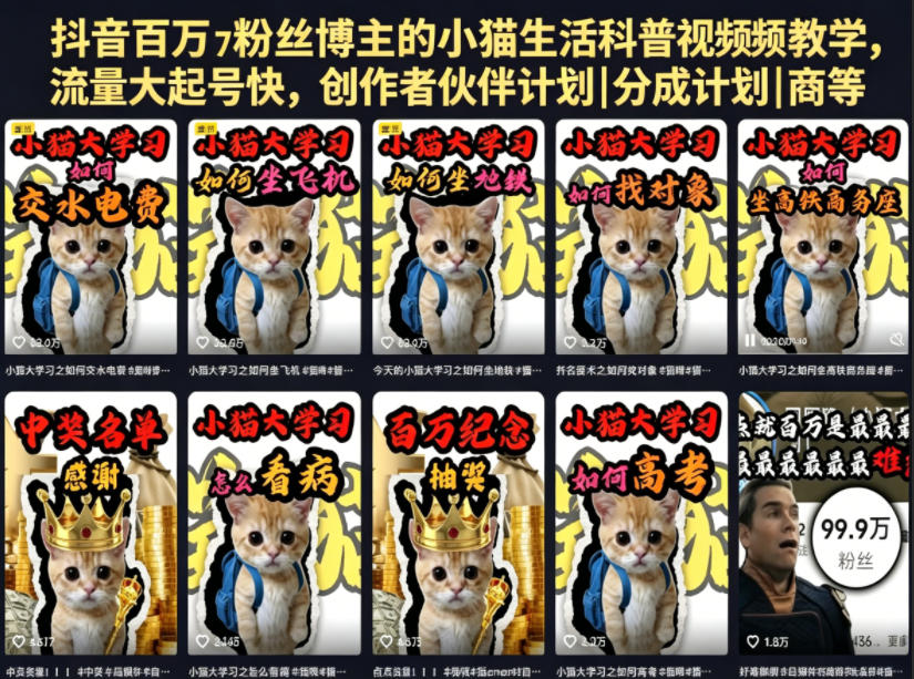 抖音百万粉丝博主的小猫生活科普视频教学，流量大起号快，创作者伙伴计划｜分成计划｜商单｜收徒等